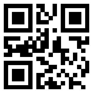 Il Qr Code di 3202469496