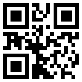 Il Qr Code di 3202469605
