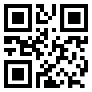 QrCode di 3202469618