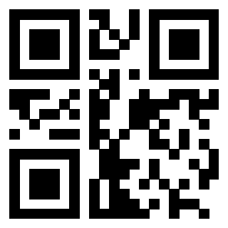 Il Qr Code di 3202469813