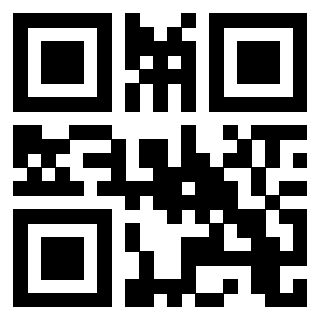 Il Qr Code di 3202469863