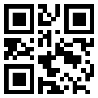 3202470232 - Immagine del QrCode