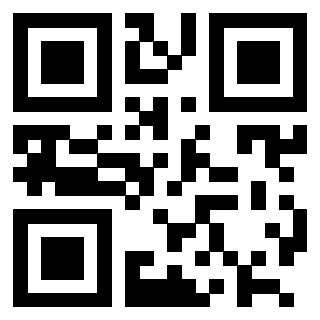 Il Qr Code di 3202492999