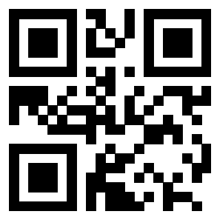 Il Qr Code di 3202493010