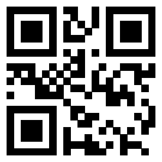Il Qr Code di 3202493052