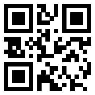 QrCode di 3202493083