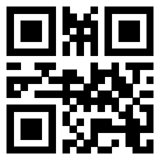 Il Qr Code di 3202493312