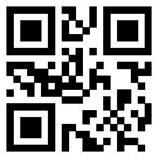 3202511376 - Immagine del Qr Code associato