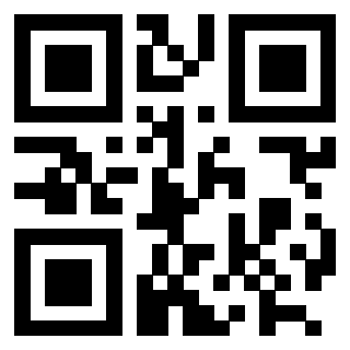 Il Qr Code di 3202511377