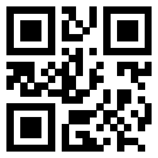 Il Qr Code di 3202511961
