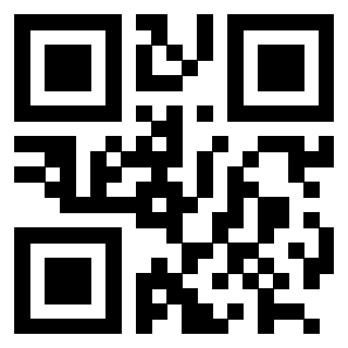 Il Qr Code di 3202512079