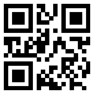 Il Qr Code di 3202518517