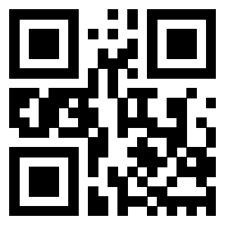 QrCode di 3202518973