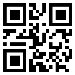 QrCode di 3202519033