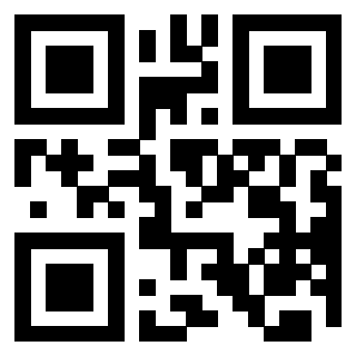 Il Qr Code di 3202519052