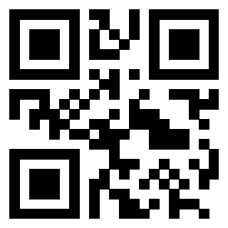 Il Qr Code di 3202547362