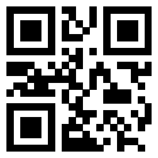 Il Qr Code di 3202547523