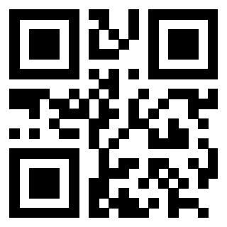 QrCode di 3202548013