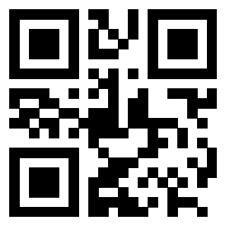 Il Qr Code di 3202590494