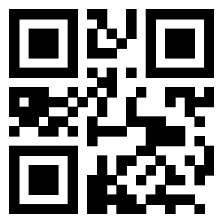 Il Qr Code di 3202747904