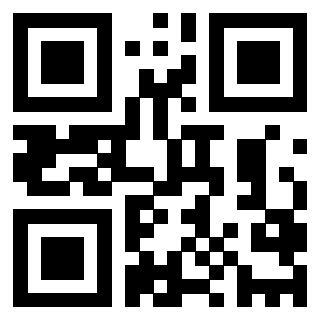 Il Qr Code di 3202747976