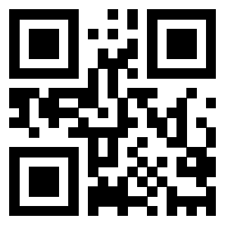 QrCode di 3202748304
