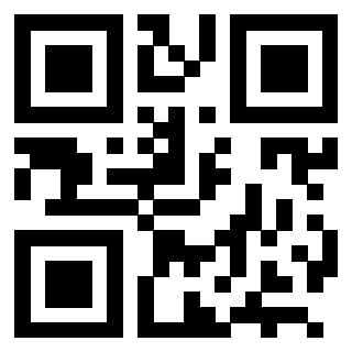 Il Qr Code di 3202765955