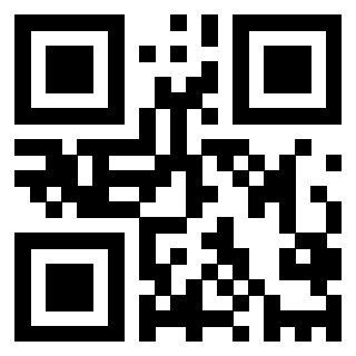 QrCode di 3202799037