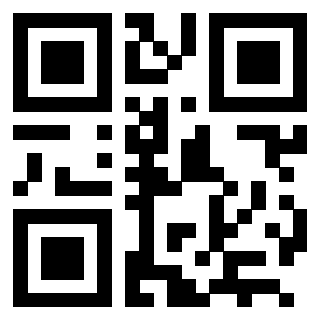 3202802487 - Immagine del QrCode