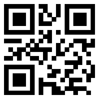 QrCode di 3202817003