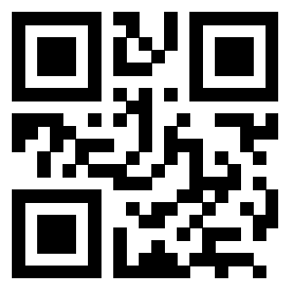 3202817384 QrCode associato