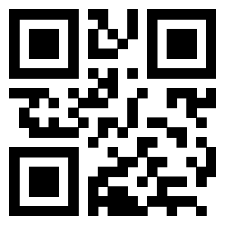3202838919 - Immagine del QrCode