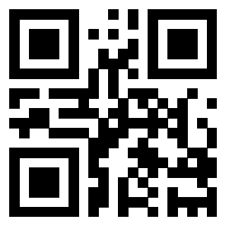 QrCode di 3202839043