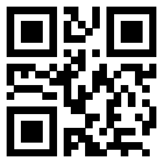 QrCode di 3202839117