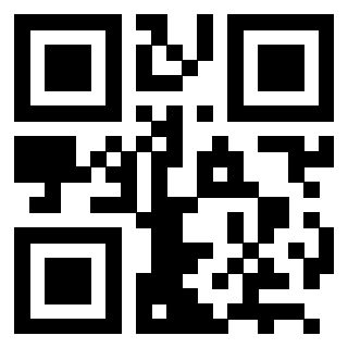 3202912536 QrCode associato