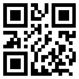 Il Qr Code di 3202912955