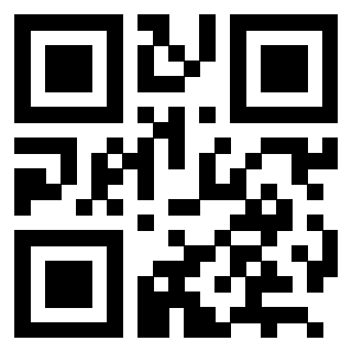 3202913041 QrCode associato