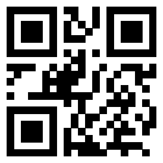 3202913060 QrCode associato