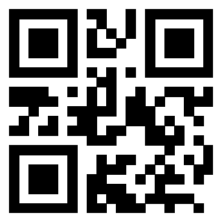 3202913102 Qr Code associato