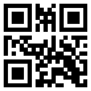 QrCode di 3202913132