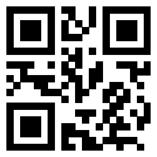 Il Qr Code di 3202927473