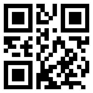 Il Qr Code di 3202927515