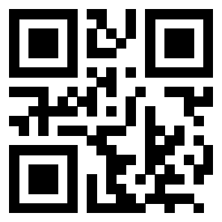 Il Qr Code di 3202928307
