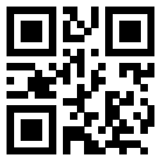 Il Qr Code di 3202951967