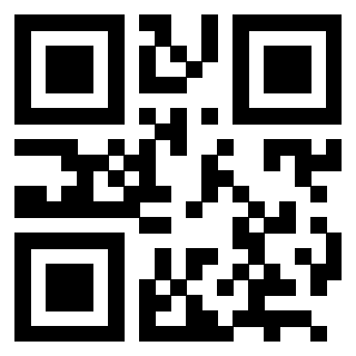 Il Qr Code di 3202951996