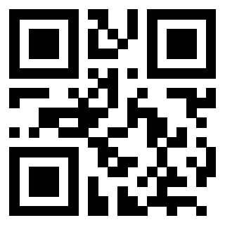 Il Qr Code di 3202952382