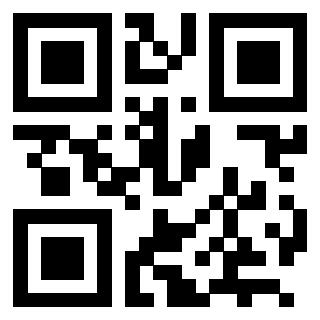 Il Qr Code di 3202952460