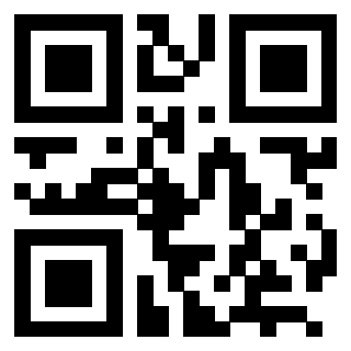 Il Qr Code di 3202952563
