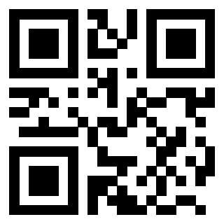 Il Qr Code di 3203028242