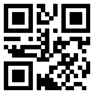 QrCode di 3203028274